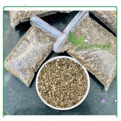 500gr Đá Bọt Núi Lửa Pumice (3-6mm) - Giải Pháp Xuất Sắc Cho Sen Đá, Xương Rồng và Cây Kiểng