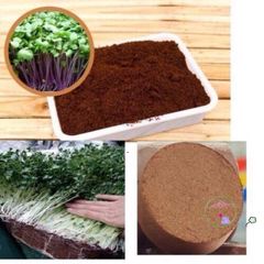 Viên Nén Xơ Dừa 450-500g Tốt Nhất Cho Trồng Hoa và Cây Cảnh - 100% Hữu Cơ, Dinh Dưỡng Cao, Thay Thế Đất Trồng An Toàn