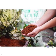 Viên Nén Xơ Dừa 0,5kg - Giải Pháp Hữu Cơ Giàu Dinh Dưỡng Cho Cây Trồng, Thay Thế Giá Thể Đất Tốt Nhất