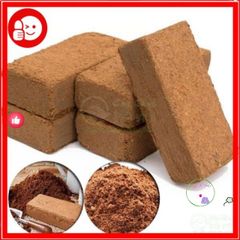 Mùn Dừa & Xơ Dừa 1kg - Vật Liệu Trồng Rau và Sen Đá Tốt Nhất - Giúp Cải Thiện Đất và Kỹ Thuật Trồng Cây