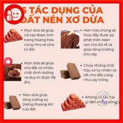 Mùn Dừa & Xơ Dừa 1kg - Vật Liệu Trồng Rau và Sen Đá Tốt Nhất - Giúp Cải Thiện Đất và Kỹ Thuật Trồng Cây