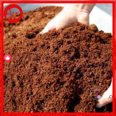 Mùn Dừa & Xơ Dừa 1kg - Vật Liệu Trồng Rau và Sen Đá Tốt Nhất - Giúp Cải Thiện Đất và Kỹ Thuật Trồng Cây