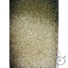 Hạt Tinh Thể Trong Suốt Trang Trí Hoa - Giải Pháp Trồng Cây Dễ Dàng (50G & 100G) - Hiệu Ứng Lung Linh Tạo Không Gian Xanh