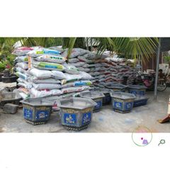 Bao Giá Thể Trồng Cây 25kg - Mùn Dừa, Trấu Hun & Vỏ Đậu Chất Lượng Cao, Đất Trồng Rau Hữu Cơ, Phụ Kiện Làm Vườn