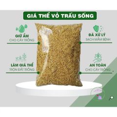 Giá Thể Vỏ Trấu Tự Nhiên - Giải Pháp Hoàn Hảo Để Trộn Đất Trồng Hoa Hồng và Rau Sạch, Giữ Ẩm và Cung Cấp Khoáng Chất Hữu Ích