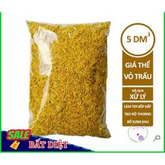 Giá Thể Vỏ Trấu Tự Nhiên - Giải Pháp Hoàn Hảo Để Trộn Đất Trồng Hoa Hồng và Rau Sạch, Giữ Ẩm và Cung Cấp Khoáng Chất Hữu Ích