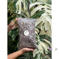 Giá Thể Trộn Sẵn Cho Cây - Hỗn Hợp Đất Tốt Nhất Cho Cây Trong Nhà & Ngoài Trời, Đá Perlite & Phân Trùn Quế, 1kg-2kg