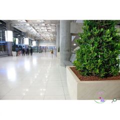 Đất sét nung Thái Lan - Giá Thể Siêu Nhẹ cho Cây Cảnh: Sen Đá, Lan, Xương Rồng - Gói 1 Lít, Nhiều Kích Cỡ