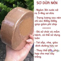 Viên nén giá thể hữu cơ từ mụn dừa lớn - Giải pháp trồng rau củ, hoa cảnh sạch và an toàn cho cây trồng, dễ sử dụng và tái sử dụng