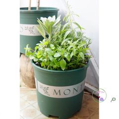 Giá Thể Trồng Cây Hương Thảo JUN GARDEN 3kg - Chất Liệu Đặc Biệt Giúp Cây Phát Triển Khỏe Mạnh, Giải Pháp Hoàn Hảo Cho Người Yêu Vườn