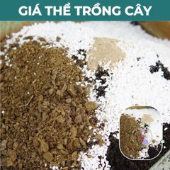 Giá Thể Trồng Cây Hương Thảo JUN GARDEN 3kg - Chất Liệu Đặc Biệt Giúp Cây Phát Triển Khỏe Mạnh, Giải Pháp Hoàn Hảo Cho Người Yêu Vườn