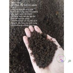 Phân Bón ươm Hạt Chất Lượng Cao 300g - Giàu Dinh Dưỡng, Phân Trùn Quế Tươi & Xơ Dừa, Giúp ươm Mọi Loại Hạt Giống
