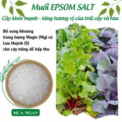 Muối Epsom Nguyên Chất 1kg - Phân Bón Hỗ Trợ Cây Trồng Chuyên Nghiệp Tăng Cường Magie và Lưu Huỳnh, Giúp Cây Phát Triển Tốt