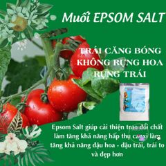 Muối Epsom Nguyên Chất 1kg - Phân Bón Hỗ Trợ Cây Trồng Chuyên Nghiệp Tăng Cường Magie và Lưu Huỳnh, Giúp Cây Phát Triển Tốt