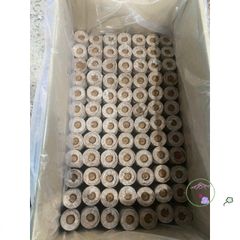 10 Viên Nén Xơ Dừa Giúp Ươm Hạt Giống - Đất Nén Giữ Ẩm Tốt Cho Cây Xanh Tươi Tốt, Phát Triển Nhanh Chóng