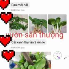 Đất Mùn Hữu Cơ Trồng Rau và Cây Cảnh (1kg) - Hỗn Hợp Đất Đỏ, Phân Bò Vi Sinh và Xơ Dừa, Dinh Dưỡng Tự Nhiên, Dễ Gieo Hạt