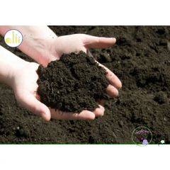 Đất Trồng Cao Cấp Cho Sen Đá, Xương Rồng & Hoa Cảnh - Hỗn Hợp Dinh Dưỡng Cho Vườn Nhà Bạn