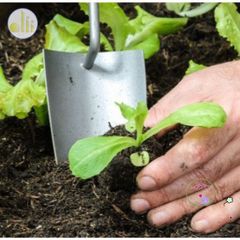 Đất Trồng Cao Cấp Cho Sen Đá, Xương Rồng & Hoa Cảnh - Hỗn Hợp Dinh Dưỡng Cho Vườn Nhà Bạn