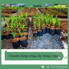 Mụn Dừa Tự Nhiên - Giá Thể Trồng Cây Không Tác Hại Môi Trường Trong Túi Zip 5dm3 - AZ Farming