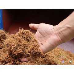 Hạt Nở Xơ Dừa 1kg - Giá Thể Trồng Trọt Chất Lượng Cao, Khuyến Mãi Mua 10 Tặng 1, Phù Hợp Cho Vườn Nhà và Trang Trại