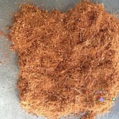 Hạt Nở Xơ Dừa 1kg - Giá Thể Trồng Trọt Chất Lượng Cao, Khuyến Mãi Mua 10 Tặng 1, Phù Hợp Cho Vườn Nhà và Trang Trại