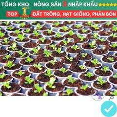 Mụn Xơ Dừa Đã Qua Xử Lý 1kg - Đất Trồng Cây An Toàn Tự Nhiên, Thích Hợp Cho Ươm Mầm Rau, Hoa Và Cây Cảnh