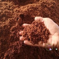 Bộ 20 Viên Nén Xơ Dừa 500g - Giá Thể Tự Nhiên Thay Thế Đất Trồng Cho Cây - Giải Pháp Trồng Cây Thân Thiện Môi Trường