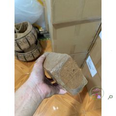 Bộ 20 Viên Nén Xơ Dừa 500g - Giá Thể Tự Nhiên Thay Thế Đất Trồng Cho Cây - Giải Pháp Trồng Cây Thân Thiện Môi Trường