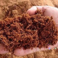 Mùn xơ dừa đã xử lý 1kg - Chất nền hữu cơ cho cây lan, cây cảnh, rau mầm - Giữ ẩm, tăng trưởng rễ, thân thiện môi trường