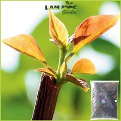 Phân Bón D.A.P 1Kg - Tăng Cường Phát Triển Rễ và Cây Xanh, Đạm và Lân Hỗn Hợp Cho Tất Cả Các Loại Cây Trồng