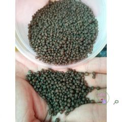 Phân Bón D.A.P 1Kg - Tăng Cường Phát Triển Rễ và Cây Xanh, Đạm và Lân Hỗn Hợp Cho Tất Cả Các Loại Cây Trồng