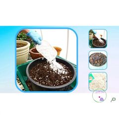 Túi 1 kg Đá Perlite - Phụ Gia Trồng Sen Đá, Xương Rồng, Cây Cảnh Giúp Thoát Nước Tốt và Tạo Đất Tơi Xốp