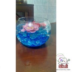 Hạt Tinh Thể Thủy Sinh Nhật Bản 10g - Hạt Nở Màu Sắc Rực Rỡ Cho Cây Cảnh, Trang Trí Nội Thất, An Toàn Cho Trẻ Em