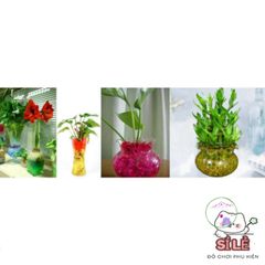 Hạt Tinh Thể Thủy Sinh Nhật Bản 10g - Hạt Nở Màu Sắc Rực Rỡ Cho Cây Cảnh, Trang Trí Nội Thất, An Toàn Cho Trẻ Em
