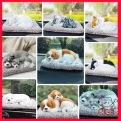 Gấu Bông Chó Mèo Hút Mùi Than Hoạt Tính - Đồ Chơi Dễ Thương Trang Trí Xe Hơi và Không Gian Sống