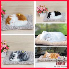 Gấu Bông Chó Mèo Hút Mùi Than Hoạt Tính - Đồ Chơi Dễ Thương Trang Trí Xe Hơi và Không Gian Sống