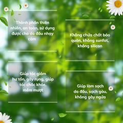Dầu Gội V-Naturecare Hương Nước Hoa Organic - Chăm Sóc Tóc Mềm Mượt, Sạch Gàu Cho Da Đầu Nhạy Cảm