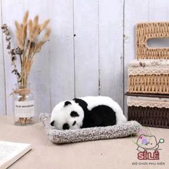 Phụ Kiện Trang Trí Khử Mùi Ô Tô - Than Hoạt Tính Thiên Nhiên, Loại Bỏ Formaldehyde và Mùi Thú Cưng, Thiết Kế Độc Đáo cho Không Gian Sống Thoải Mái