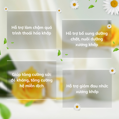 Jointlink Max - Hỗ Trợ Giảm Đau Xương Khớp, Tái Tạo Sụn, Chậm Thoái Hóa, Dễ Vận Động
