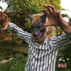 Mặt Nạ Hóa Trang Chó Sói - Silicone An Toàn, Thú Vị Cho Halloween và Cosplay, Phụ Kiện Lễ Hội Độc Đáo