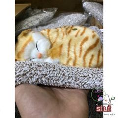 Gấu Bông Mèo Vằn Vàng Than Hoạt Tính - Người Bạn Dễ Thương Lọc Khí Sạch, Trang Trí Không Gian Sống, Thú Cưng An Toàn 28x20cm