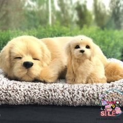 Bộ Đôi Thú Bông Cún Mẹ Con Vàng Nhạt - Khử Mùi Hiệu Quả, Trang Trí Xe Ô Tô Đáng Yêu, Giải Pháp Trong Lành Cho Gia Đình