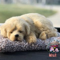 Bộ Đôi Thú Bông Cún Mẹ Con Vàng Nhạt - Khử Mùi Hiệu Quả, Trang Trí Xe Ô Tô Đáng Yêu, Giải Pháp Trong Lành Cho Gia Đình