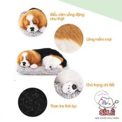 Thú Bông Khử Mùi Than Hoạt Tính - Trang Trí Xe Hơi, Học Tập, Kệ Sách Dễ Thương - Giải Pháp Trong Lành Cho Không Gian Sống