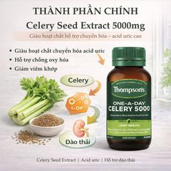 Viên Uống Thompson's Celery 5000mg - Hỗ Trợ Giảm Acid Uric và Sức Khỏe Xương Khớp - Thực Phẩm Bổ Sung New Zealand 60 Viên