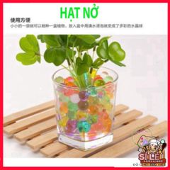 Gói 5000 Viên Hạt Nở Đầy Màu Sắc Trang Trí Không Gian Sống - Slime Slam Độc Đáo Cho Tiểu Cảnh