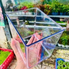 Hồ Nhựa Mini Nuôi Cá 15x12x15cm - Bể Cá Mica Đúc Betta Guppy Cao Cấp Có Nắp Đen Trắng - Phụ Kiện Thủy Sinh Compact