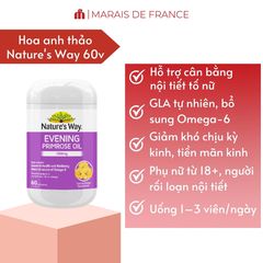 Tinh Dầu Hoa Anh Thảo Nature’s Way 60 Viên - Bổ Sung Dưỡng Chất Từ Thực Vật, Viên Nang Mềm Tiện Lợi Cho Sức Khỏe