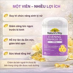 Tinh Dầu Hoa Anh Thảo Nature’s Way 60 Viên - Bổ Sung Dưỡng Chất Từ Thực Vật, Viên Nang Mềm Tiện Lợi Cho Sức Khỏe