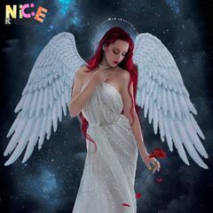 Cánh Thiên Thần Đen Cosplay Halloween - Bộ Cánh Angel Wings Cho Ngày Hội - Phụ Kiện Thời Trang Nổi Bật